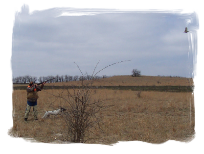 Cokeley Farms Sporting Clays
